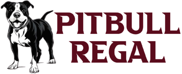 Pitbull Regal – Pitbull Puppies For Sale – Perros Pitbull